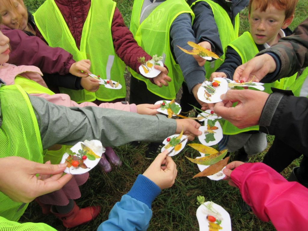 Billingham Primary Harringtons Pond 0483