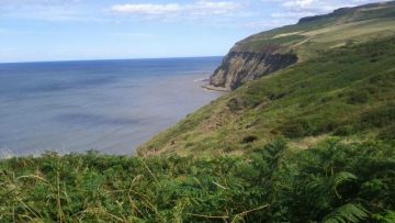 Cliffs at Hummersea