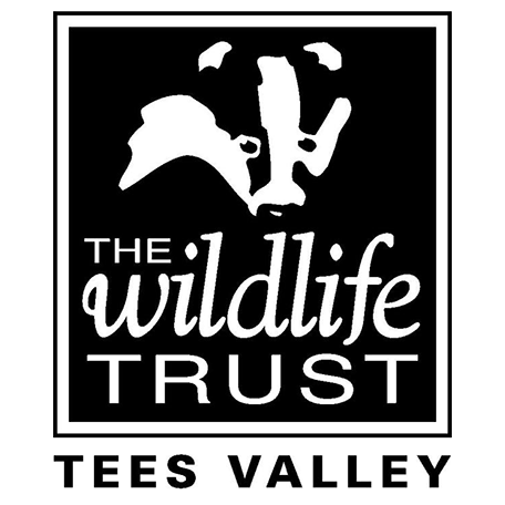 Tees Valley Wildlife Trust Logo