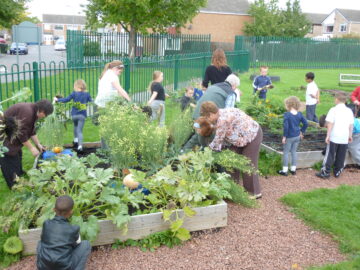 school planting