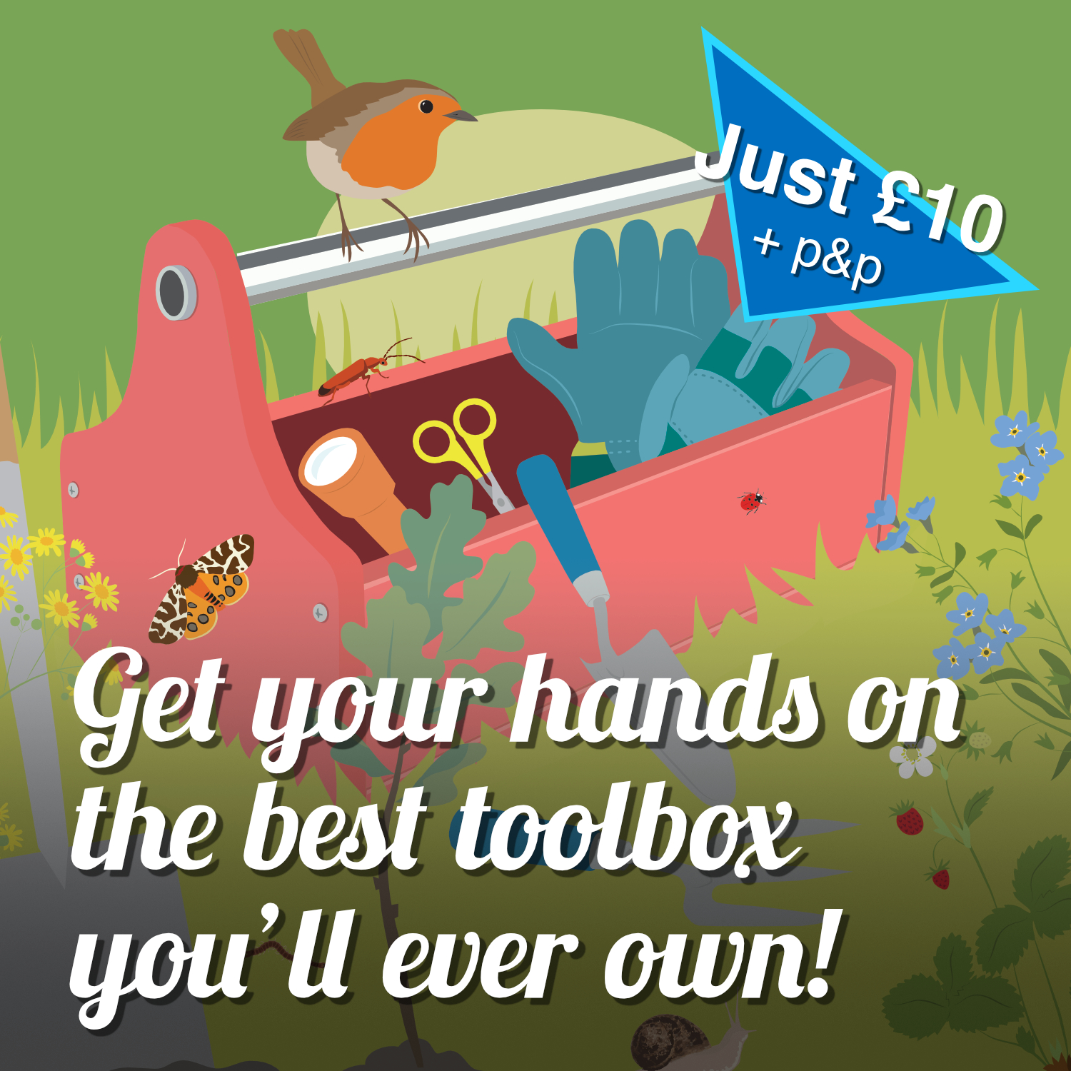 illustration of a toolbox surrounded by wildlife. Advert for new guidebook.