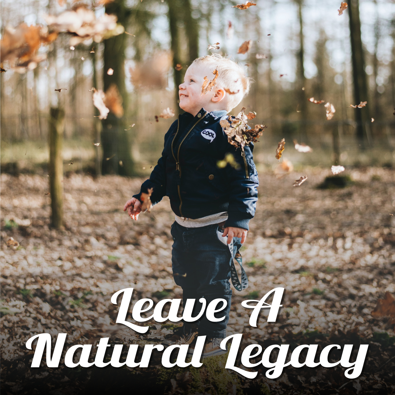 young boy in falling leaves