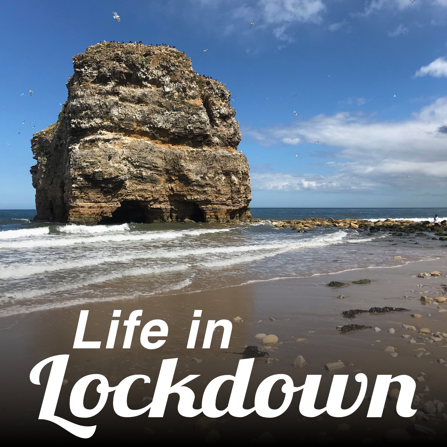 coastal scene with marsden rock