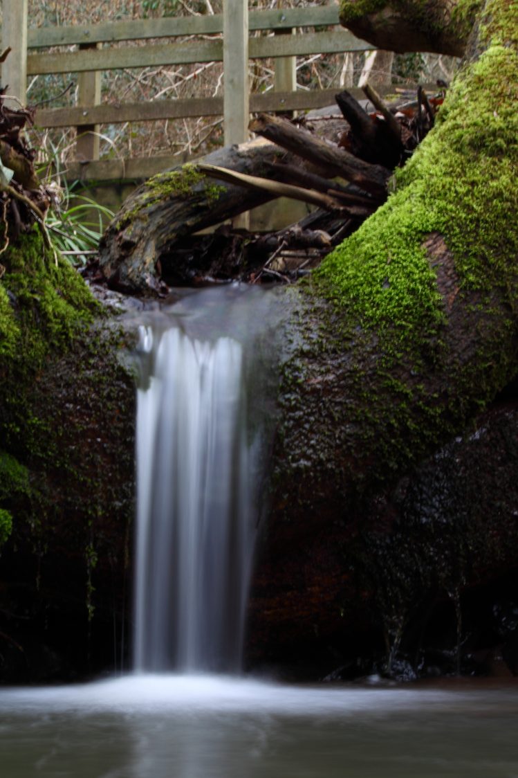 A small waterfall has formed over a fallen log. The log is green with moss and the cascading water is blurred by a long exposure when the picture was taken. 