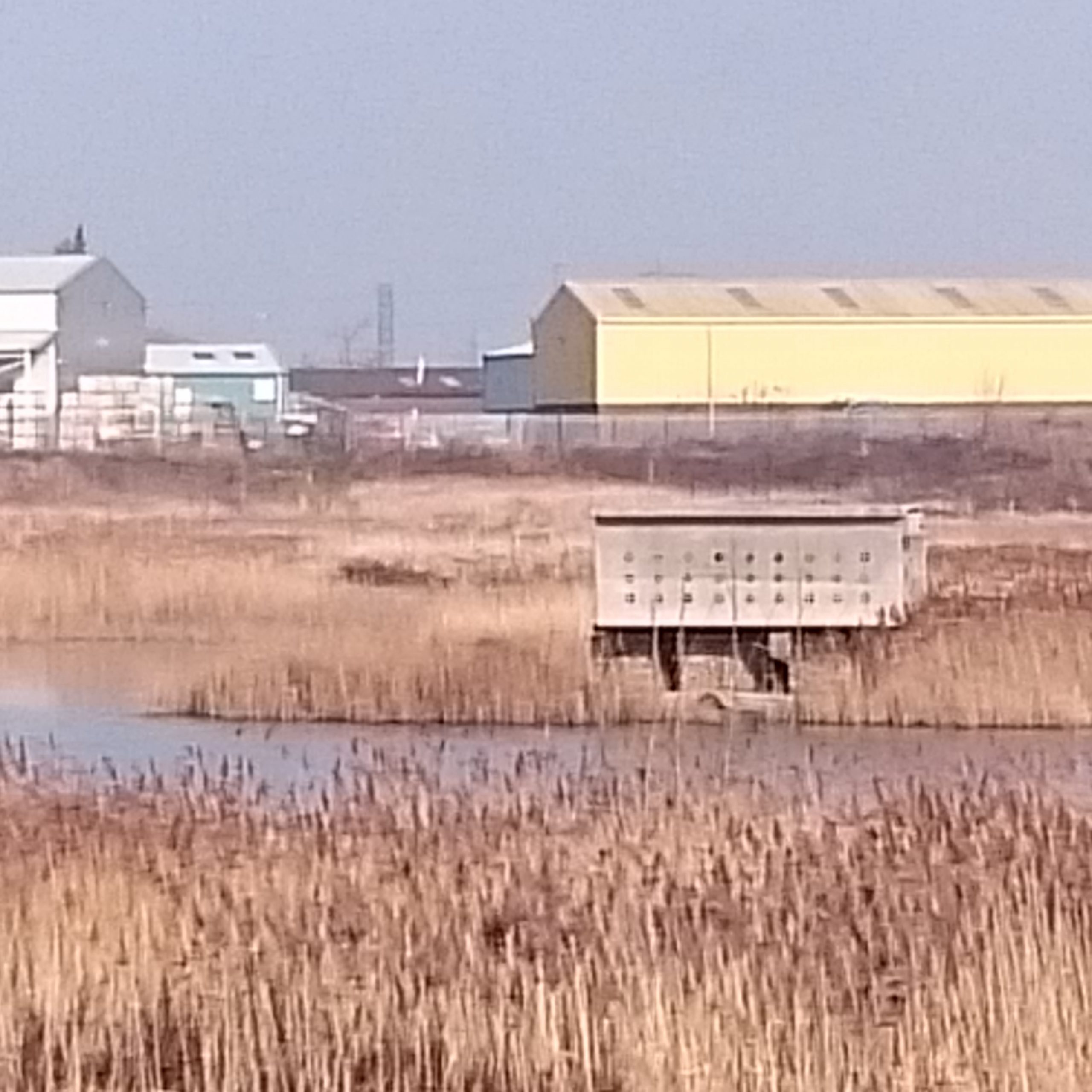 A view across the water to the artificial sand martin bank.