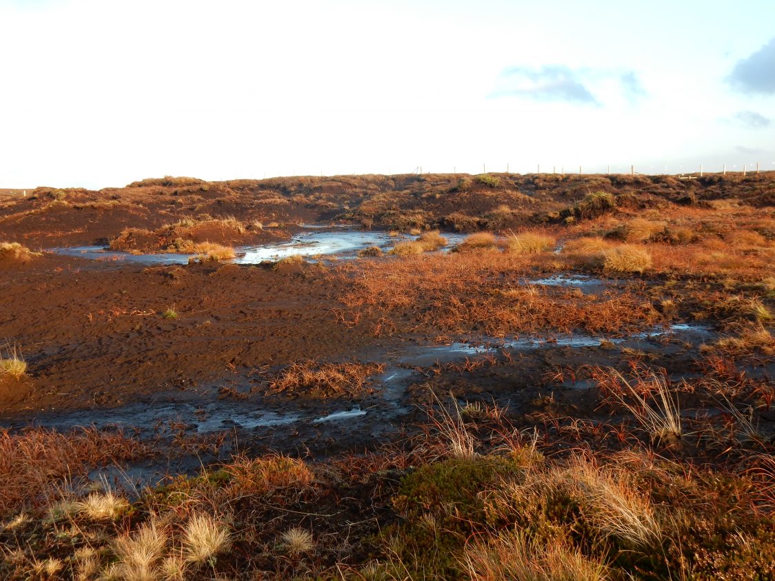 Degraded peatland, Yorkshire (c) Beth Thomas