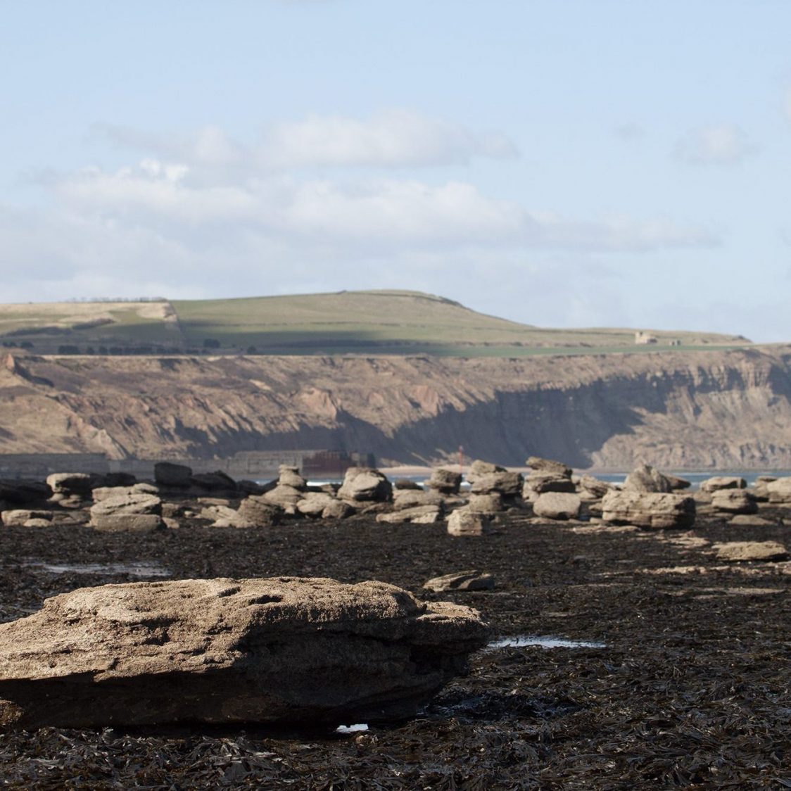 Photo of the foreshore at Hummersea. Large rocks emerge from an expanse of seaweed. The cliffs above Skinningrove are visible in the background.