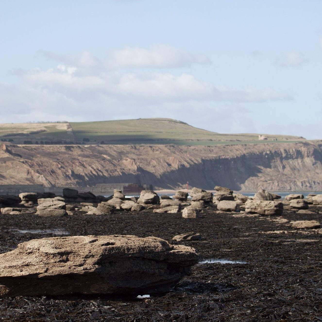 Photo of the foreshore at Hummersea. Large rocks emerge from an expanse of seaweed. The cliffs above Skinningrove are visible in the background.