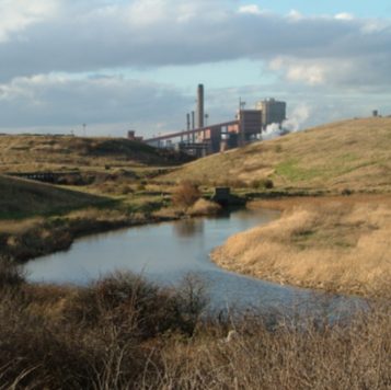 Photo looking over the Fleet at Coatham marsh towards the steel works in the background