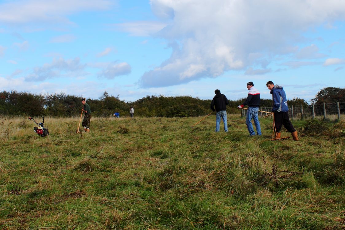 Volunteers working to clear grass cuttings from the wildflower meadow that has recently been cut.