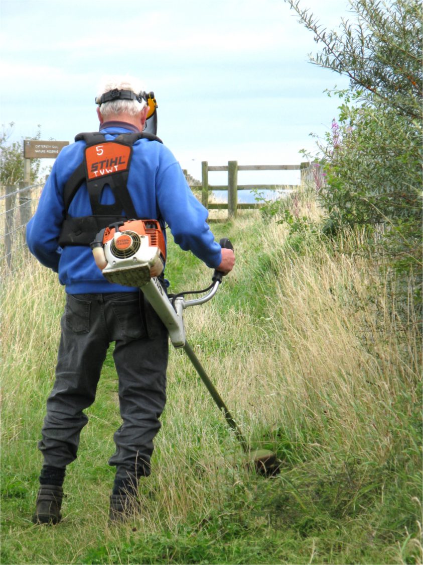 Male volunteer in a blue jumper with his back to us. He's wearing a black harness and a face visor. He's using a strimmer to cut the path edges.