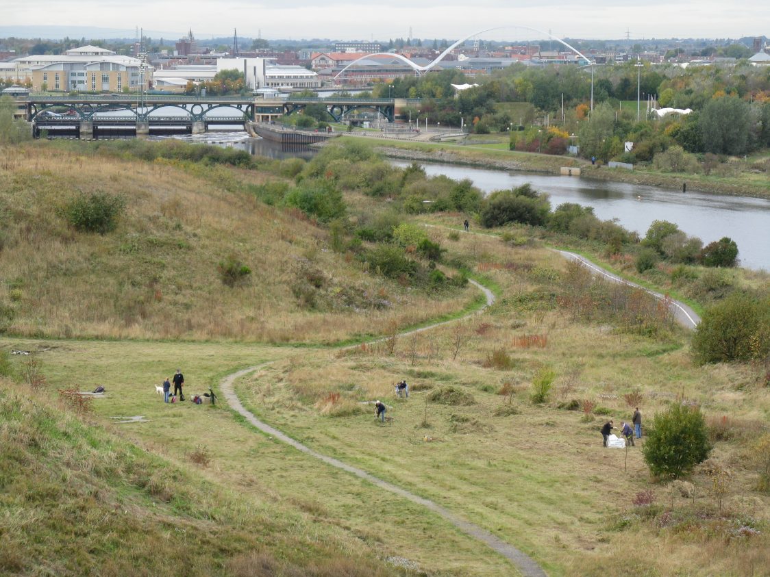View over Maze Park with the river Tees, the Barrage and Stockton on Tees in the background. Seven volunteers are clearing grass cuttings after the meadow has been cut to help the wildflowers.
