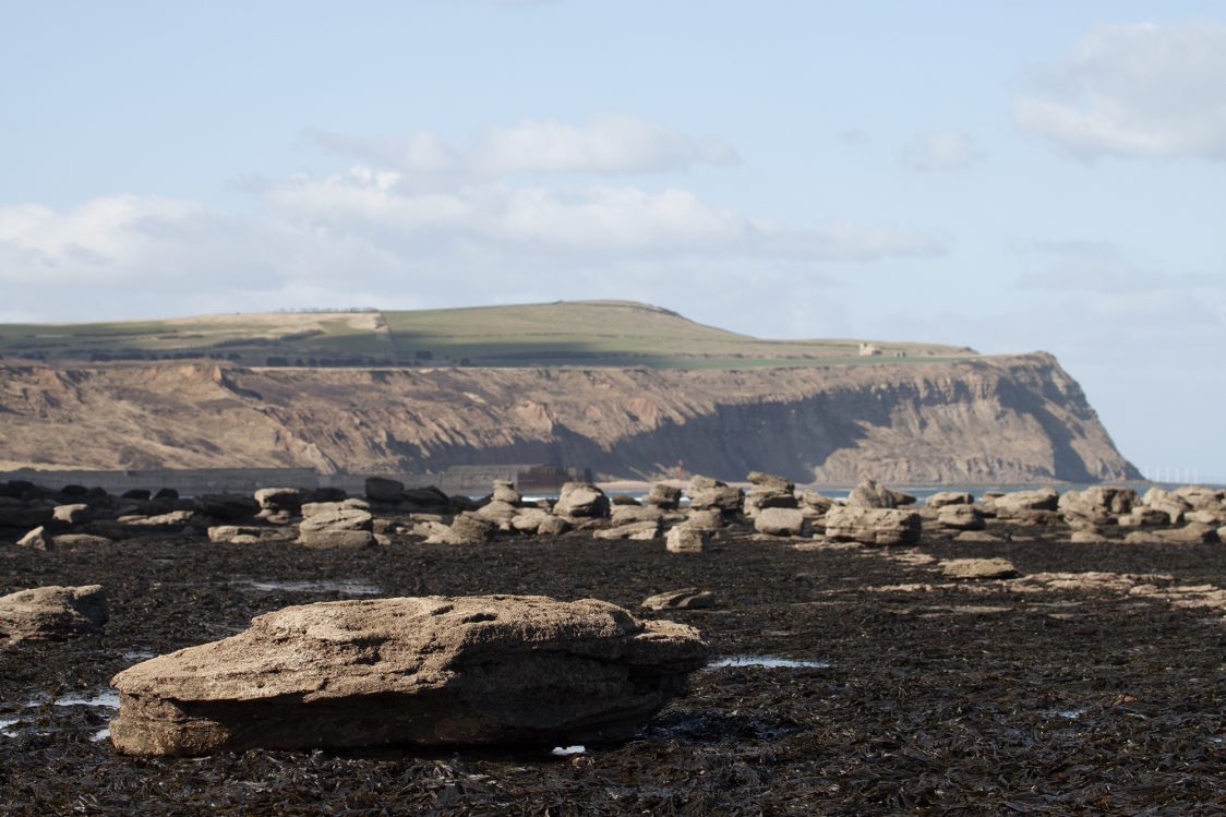 Wider photo of the foreshore at Hummersea. Large rocks emerge from an expanse of seaweed. The cliffs above Skinningrove are visible in the background.