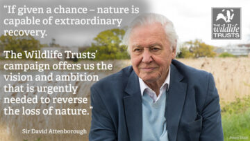 David Attenborough