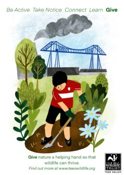 boy planting tree
