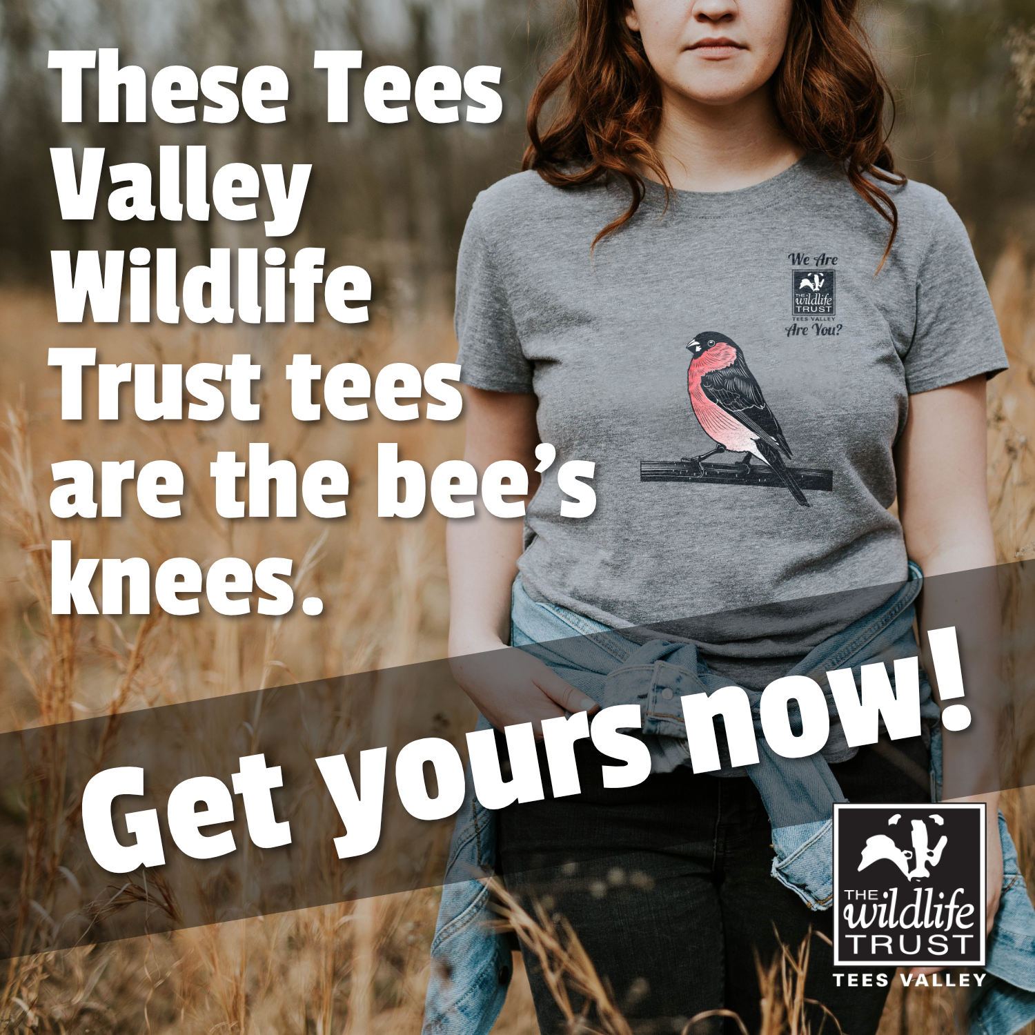 Get Yours Now! Advert showing a youn woman wearing a grey Tees Valley Wildlife Trust t-shirt with a bullfinch illustration and logo on it.