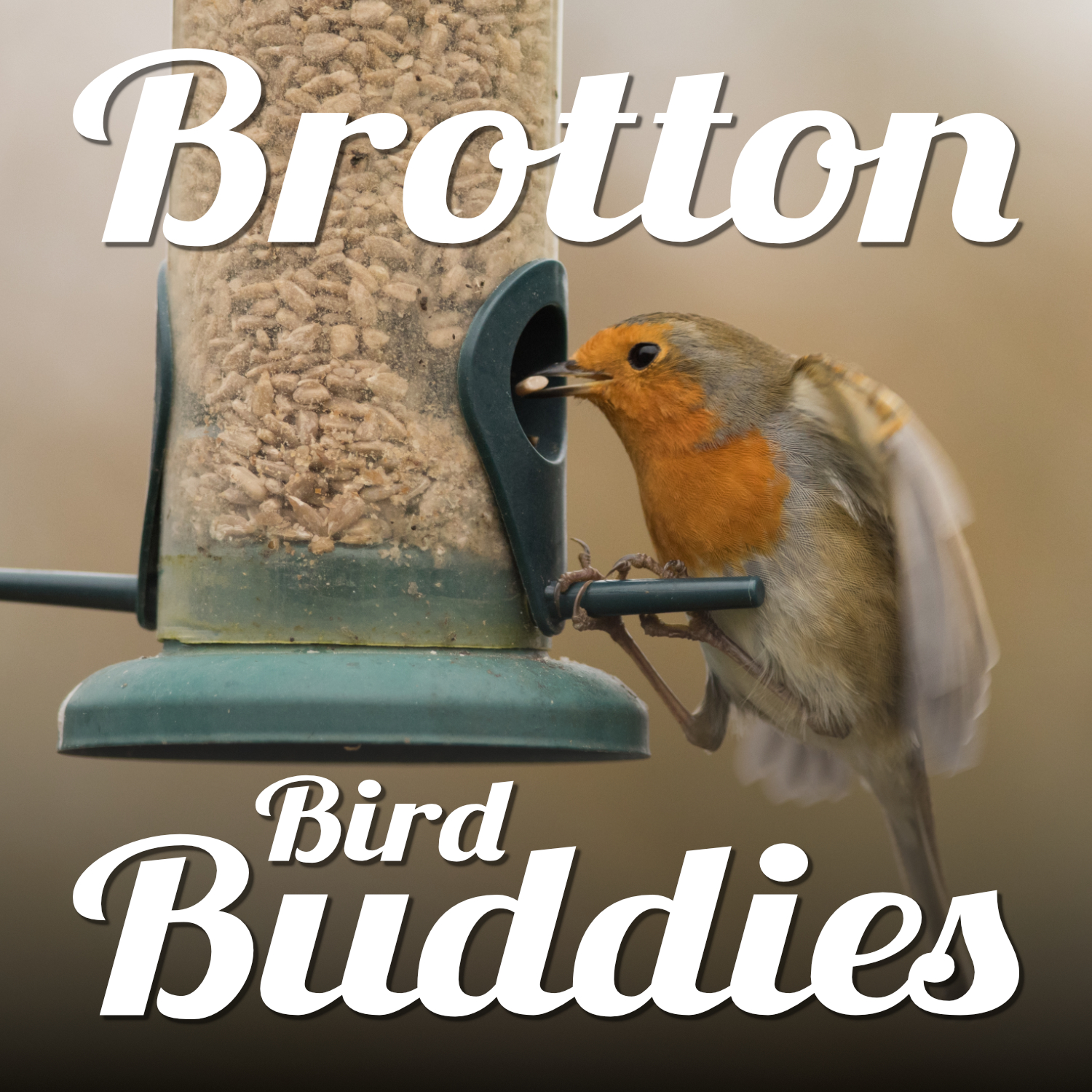 A robin on a seed feeder. Text reads 'Brotton Bird Buddies'.