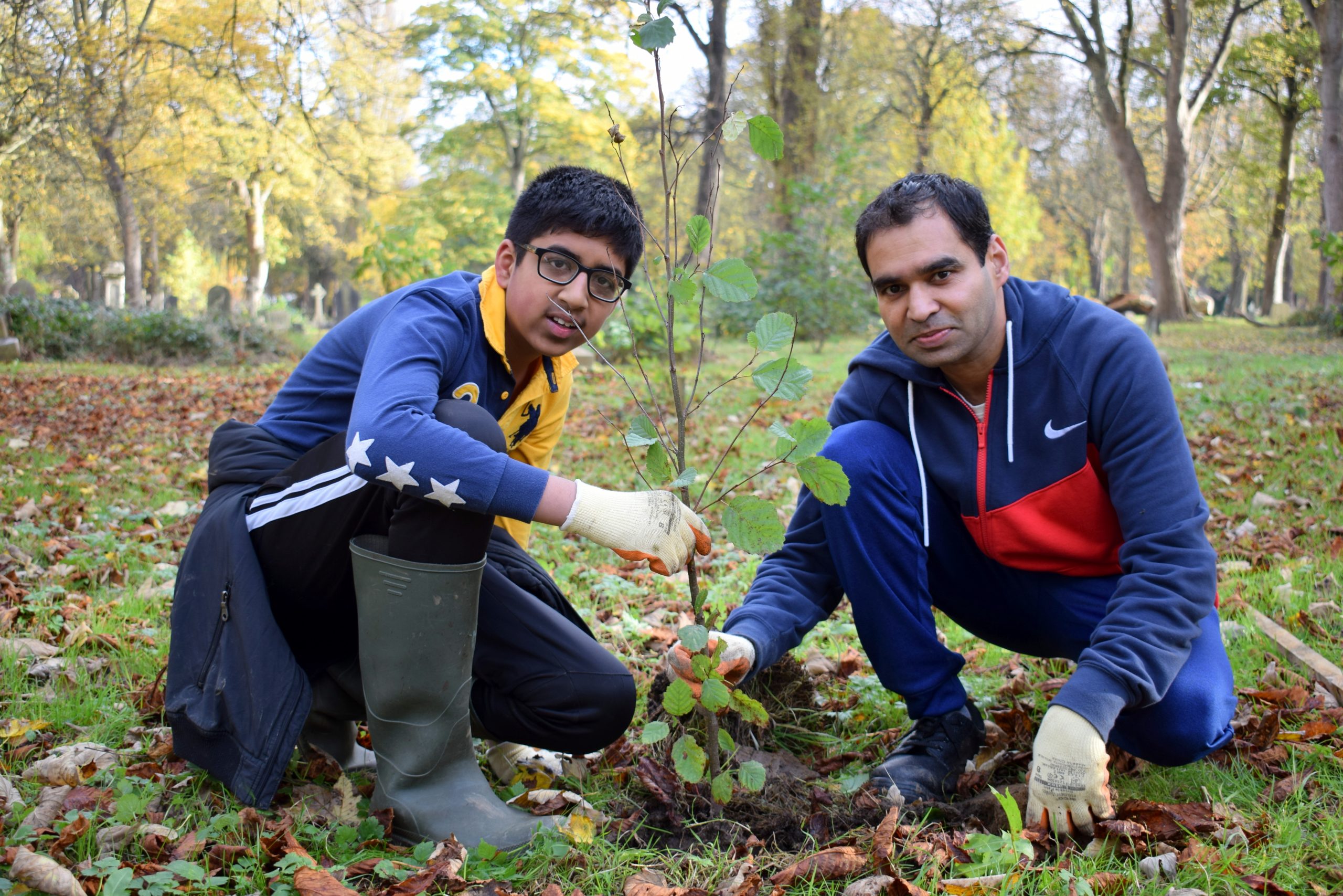 Father and son planting a tree together