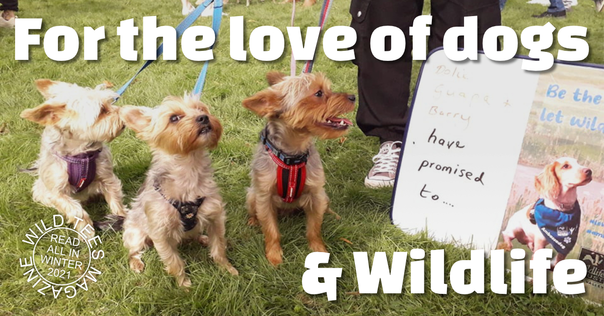 Photo of three small dogs next to a sign saying they pledge to be the best and let wildlife rest.