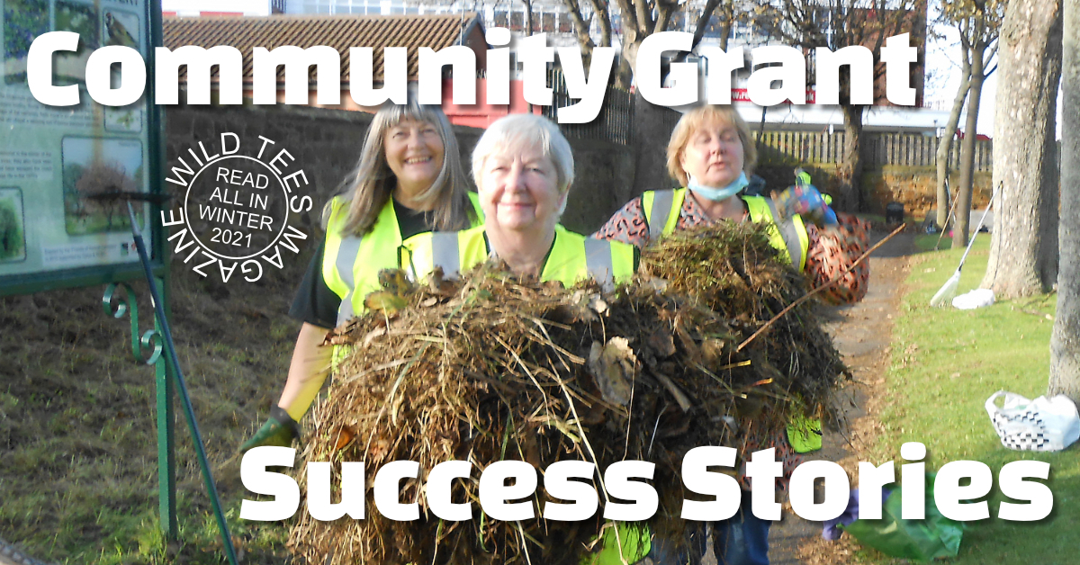 A photo of three volunteers working on one of Tees Valley Nature Partnerships grant success stories.