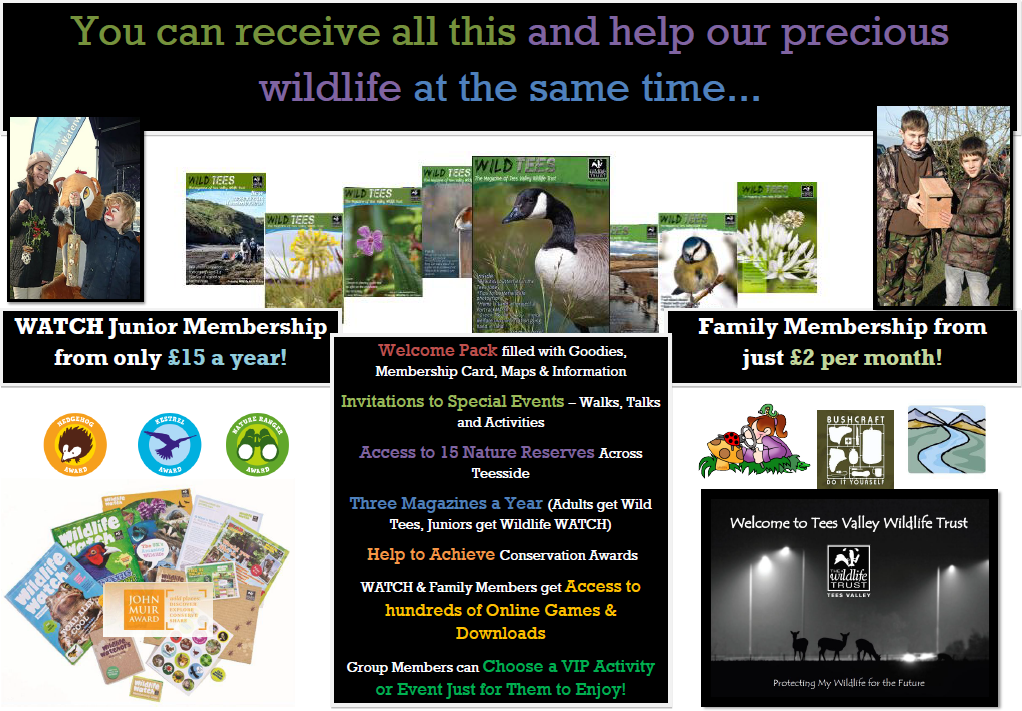 membership benefits